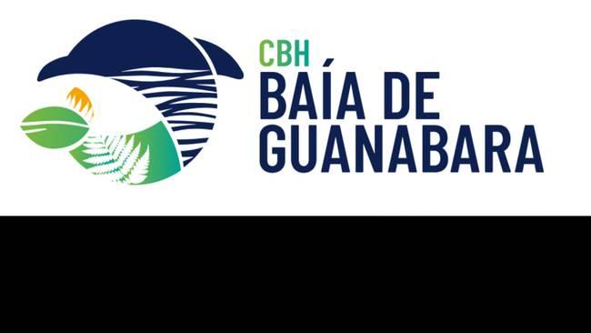 Drone - CBH Baía de Guanabara