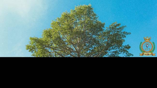 Documentário Ilê Axé Ofá Larê